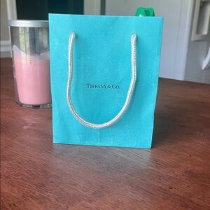 Tiffany & Co. Turquoise Gift Bag with White Handles
